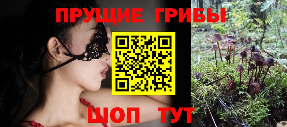 Псилоцибиновые грибы прущие грибы  Вход с VPN  Серпухов  Псилоцибиновые грибы мицелий 