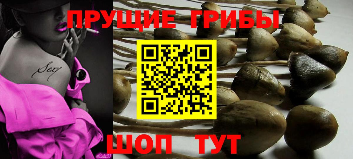 Галлюциногенные грибы прущие грибы Серпухов